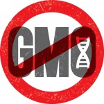 No-GMO-Logo
