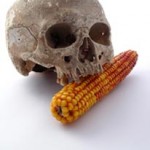 Skull-and-GM-corn