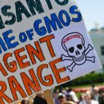 US-AGRICULTURE-GMO-MONSANTO-PROTEST