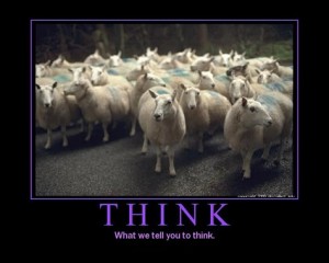 http://www.bioprepper.com/wp-content/uploads/2013/09/sheep-think-300x240.jpg