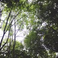 lost-in-the-wild