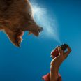 how-not-to-die-01-1013-mdn