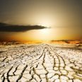 drought-243x300