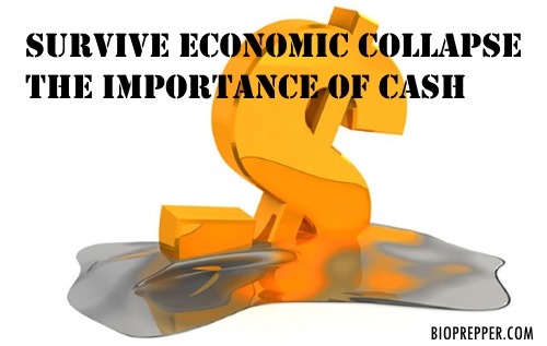 Survive Economic Collapse-The Importance of Cash
