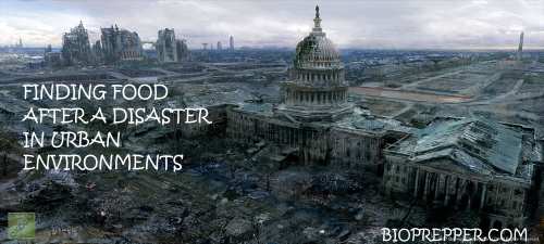 Finding Food After a Disaster in Urban Environments