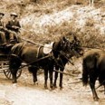 30 Lost Ways of Survival from 1880 We Should All Learn