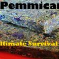 Pemmican the best survival food