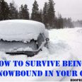 man_found_alive_incar_jpeg_size_xxlarge_letterbox
