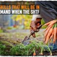 SHTF-Skills