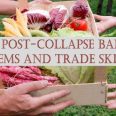 basket-of-vegetables222