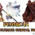 pemmican