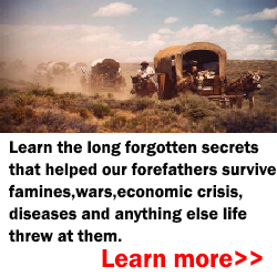 Thelostways5 Pioneer Survival Lessons