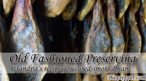 Old Fashioned Preserving-Grandpa's recipe for cured smoked ham