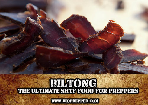 BILTONG The Ultimate SHTF Food For Preppers