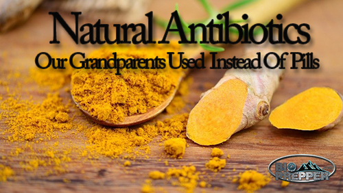 Natural Antibiotics
