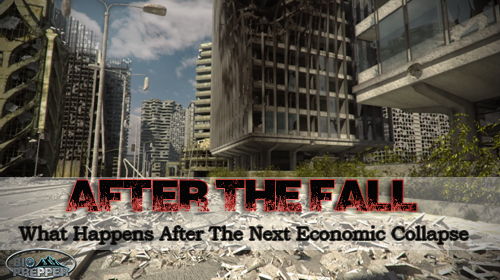 Next Economic Collapse