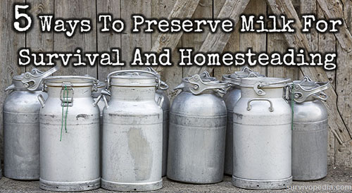 Preserve Milk