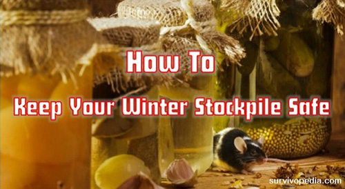 Winter Stockpile