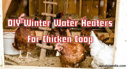 DIY Winter Water Heaters