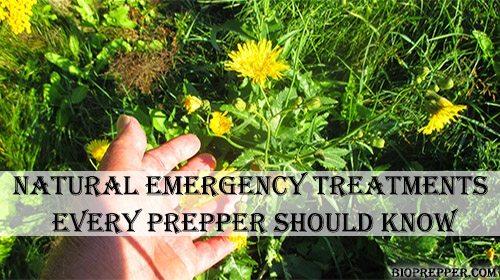 Natural Emergency Treatments