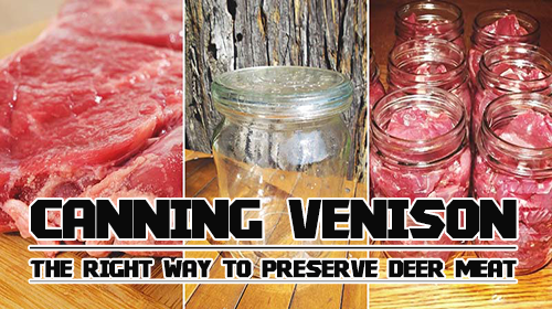 Canning Venison: The Right Way to Preserve Deer Meat - Bio Prepper