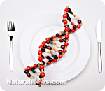 GMO-DNA-Genes-Plate-Silverware