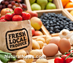 Organic-Fruit-Vegetables-Local-Produce-Healthy