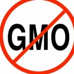 Going-non-GMO-in-dietary-supplements-The-supply-community-is-not-there-with-us-yet-say-manufacturers_strict_xxl