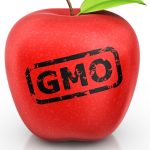 isolated-gmo-apple