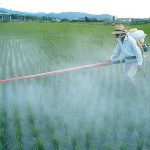 pesticides1