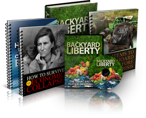 Backyard-liberty-book