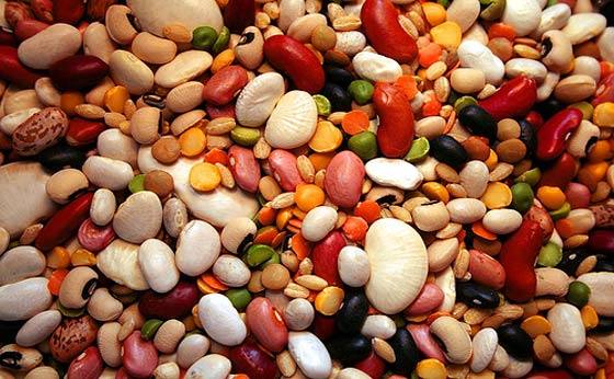 beans-and-legumes-food-storage