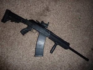 Saiga12