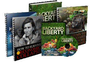 Backyard-liberty-book