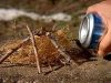 How to Start a Fire with an Aluminum Can & a Chocolate Bar