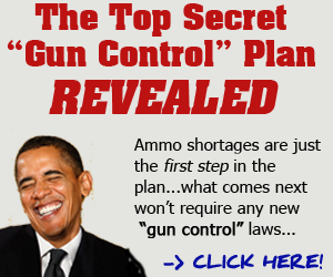 topsecretguncontrolplan