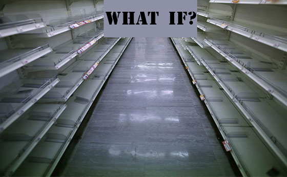 empty-grocery-store-shelves/Food Supply Collapse
