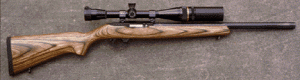 Ruger 1022