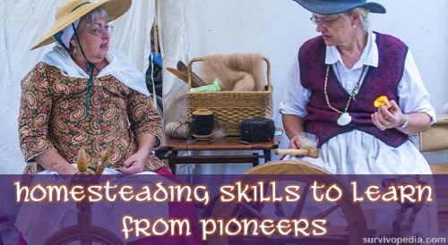 Homesteading Skills To Learn From Pioneers