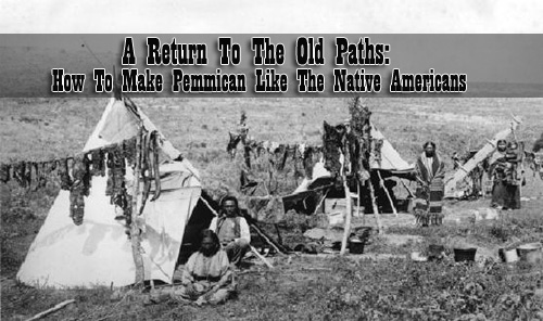 A Return To The Old Paths How To Make Pemmican Like The Native Americans