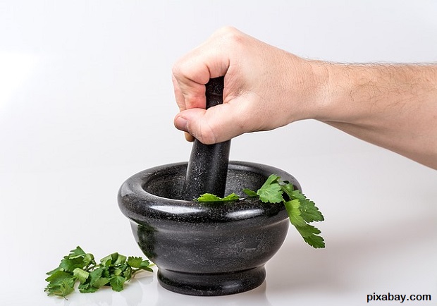 poultice Survival Herbal Recipes