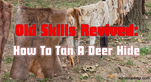 survivopedia-tanning-hide-1/Old Skills Revived: How To Tan A Deer Hide