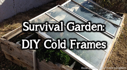 cold frames