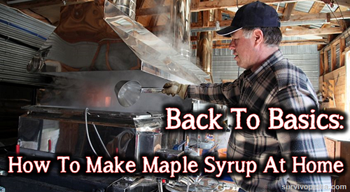 Maple Syrup