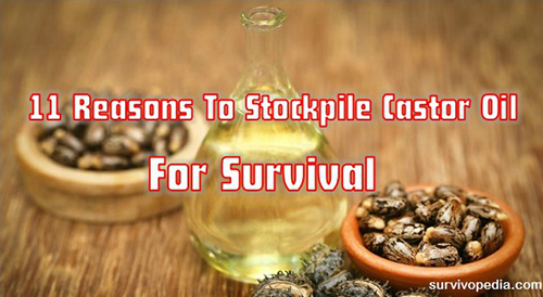 11 Reasons To Stockpile Castor Oil For Survival