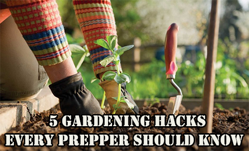 Gardening Hacks