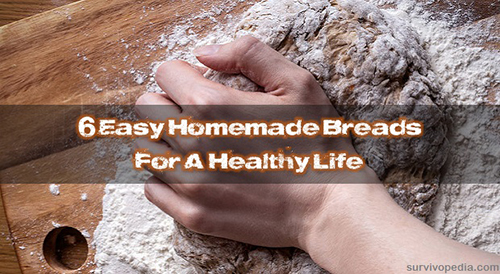 Homemade Breads
