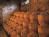 5 Clever Tips For Building A Good Cellar