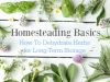How To Dehydrate Herbs for Long-Term Storage