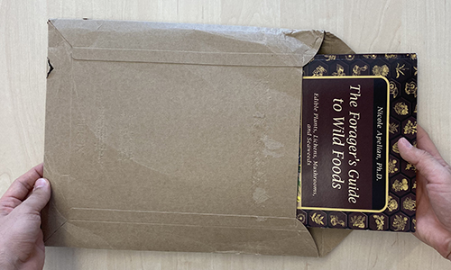 The Forager’s Guide To Wild Foods Book Review